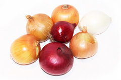 Reichenau Gemüse - Zwiebeln