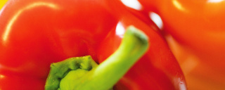 Paprika – frisch von der Gemüseinsel