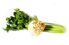 Sellerie - Reichenau-Gemüse eG