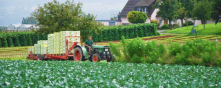Traktor Feld - Reichenau-Gemüse eG