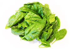 Reichenauer Gemüse - Spinat