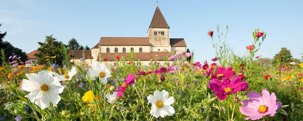 Sommerblumen vor Kirche - Reichenau-Gemüse eG