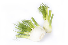 Reichenau Gemüse - Fenchel