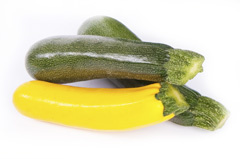 Zucchini