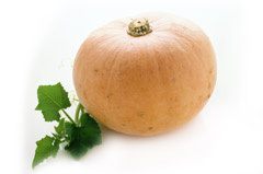 Reichenau Gemüse - Kürbis