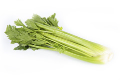 Reichenau Gemüse - Sellerie