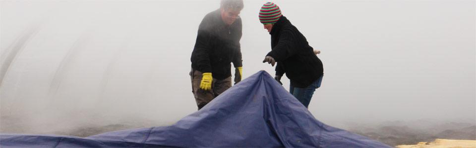 Arbeit Feld mit Planen - Reichenau-Gemüse eG